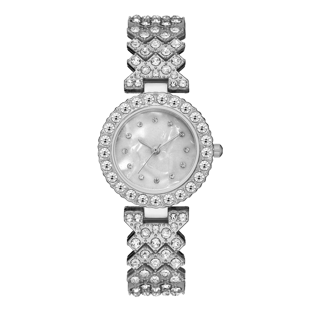 ساعت مچی لاکچری زنانه گرین + ست هدیه (نقره‌ای / صفحه سفید)